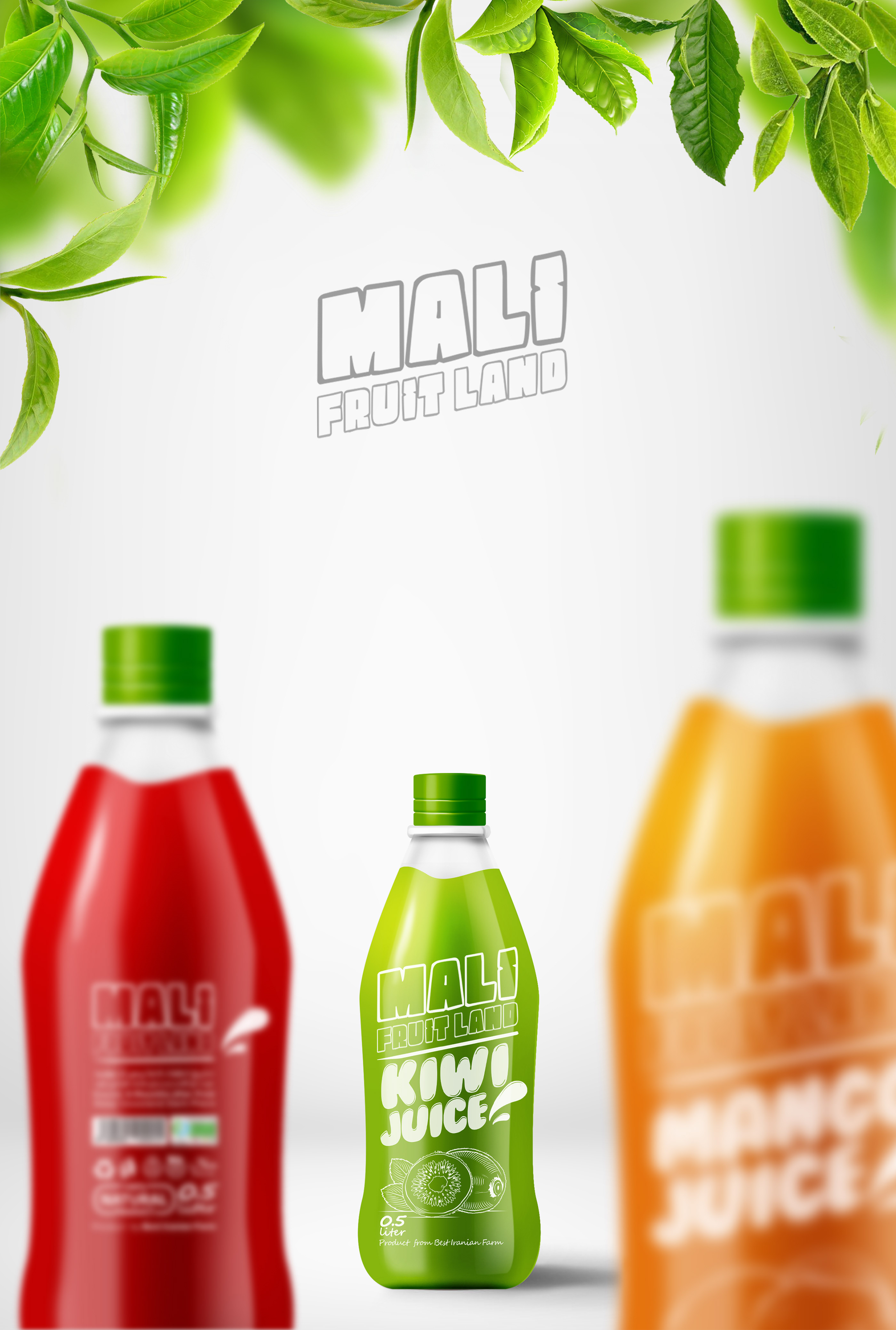 The main purpose in the design of the MALI Juice packaging was to have a si...