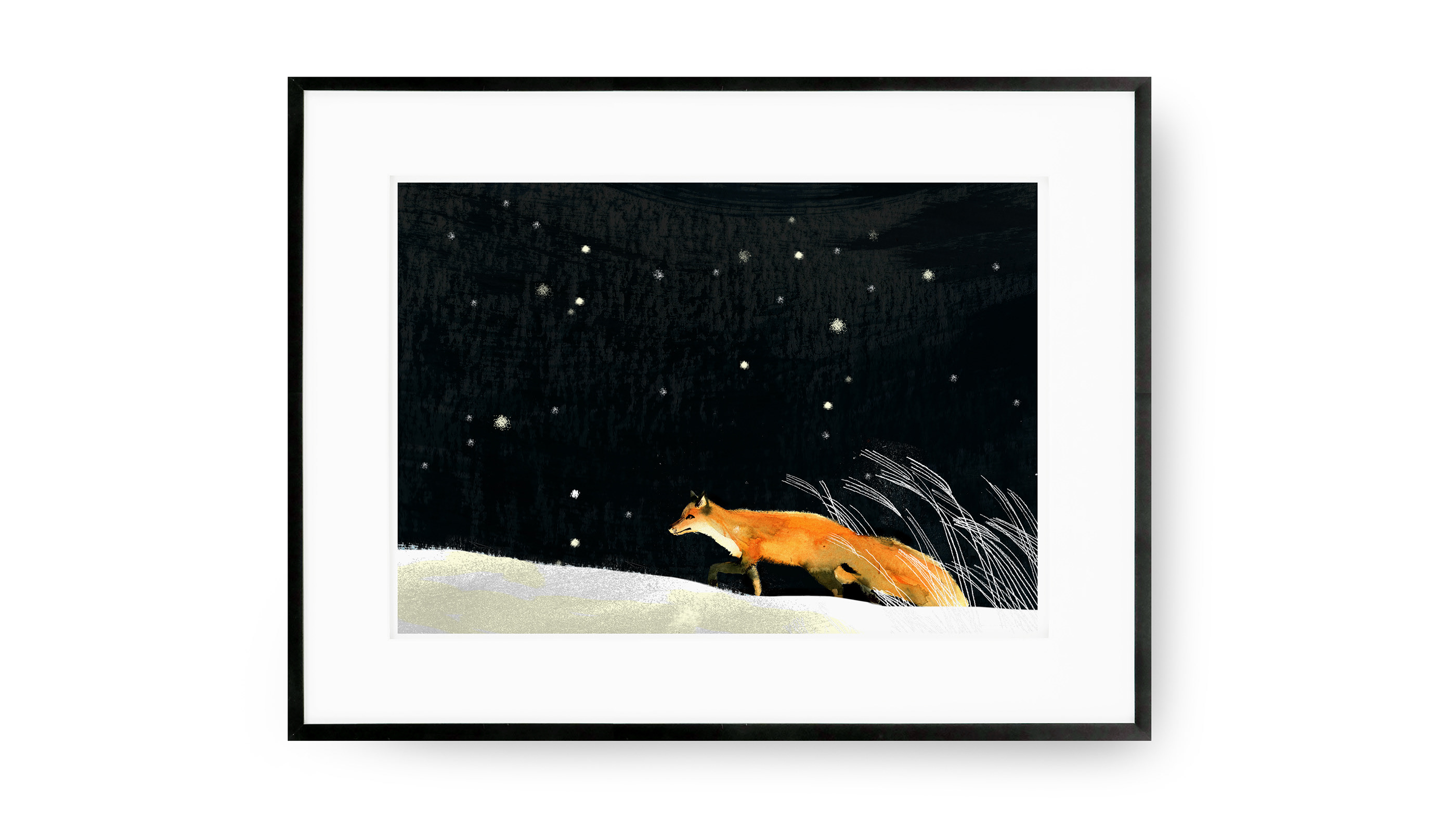 Our foxes on Behance