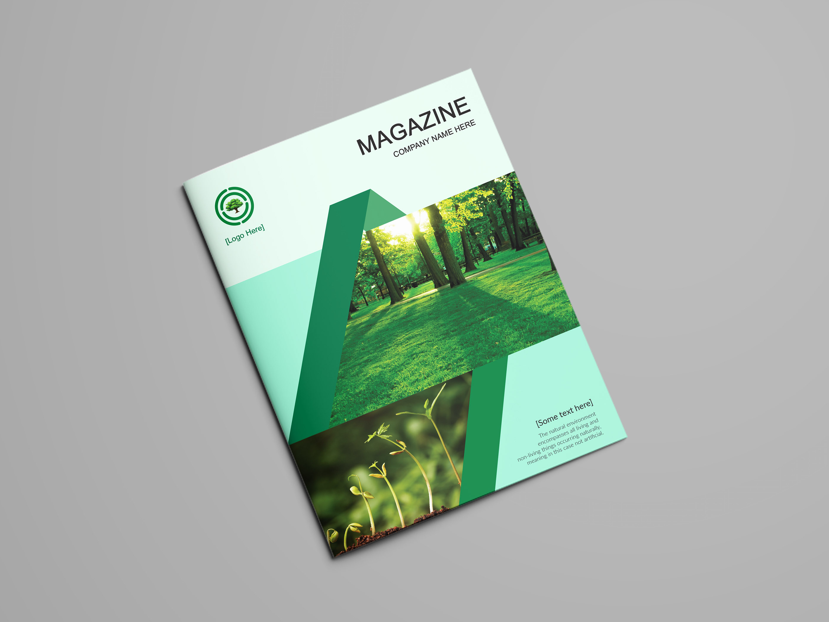 Simple magazine. Зеленый book Cover Design. Magazine Cover Design. Обложка для беханс. Обложка проекта беханс.