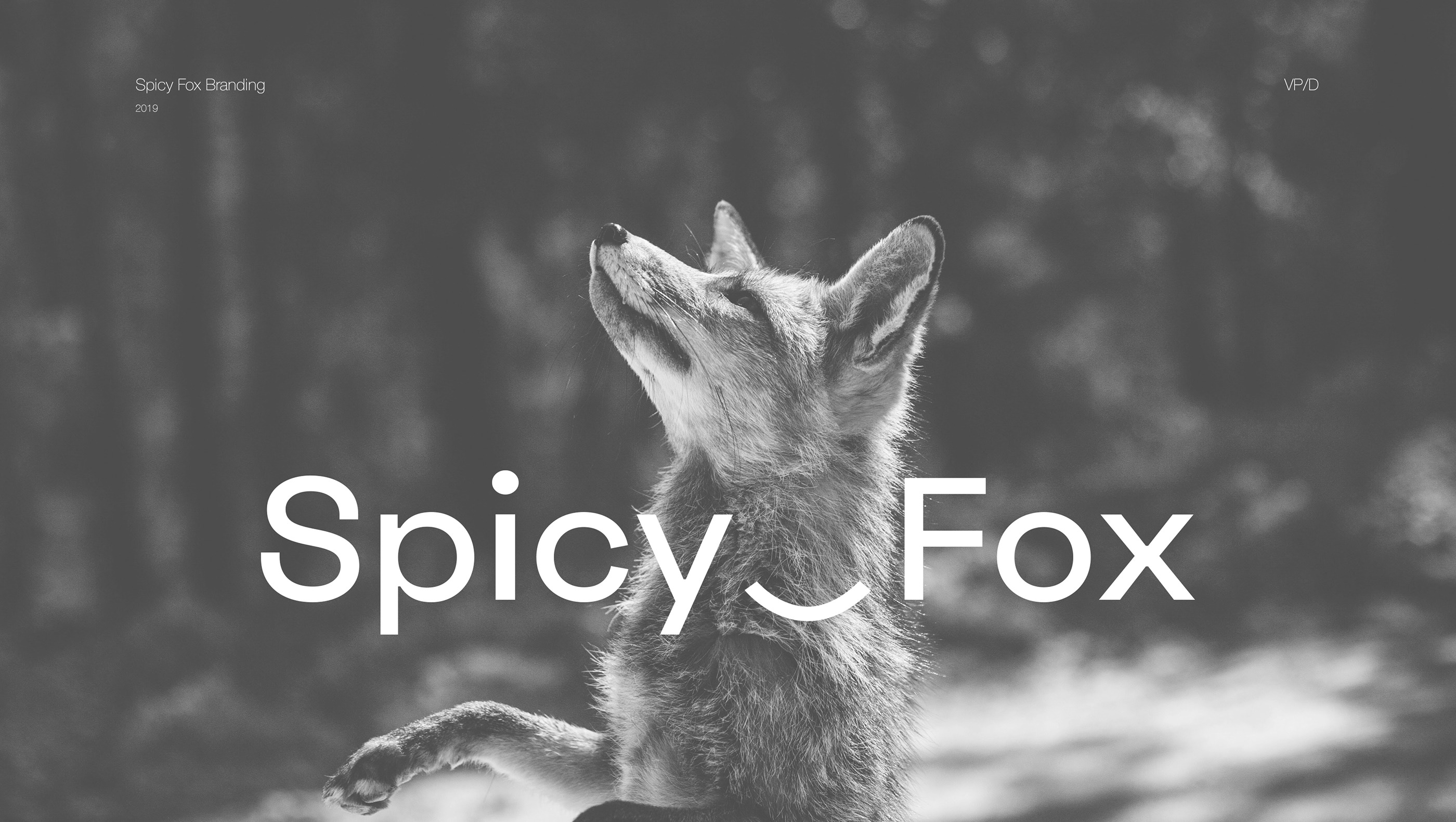 Spice fox