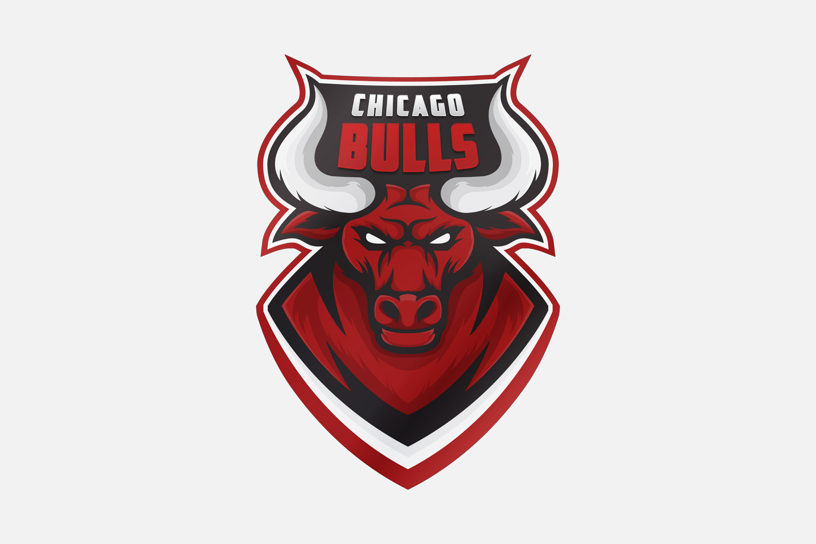 Chicago Bulls scores