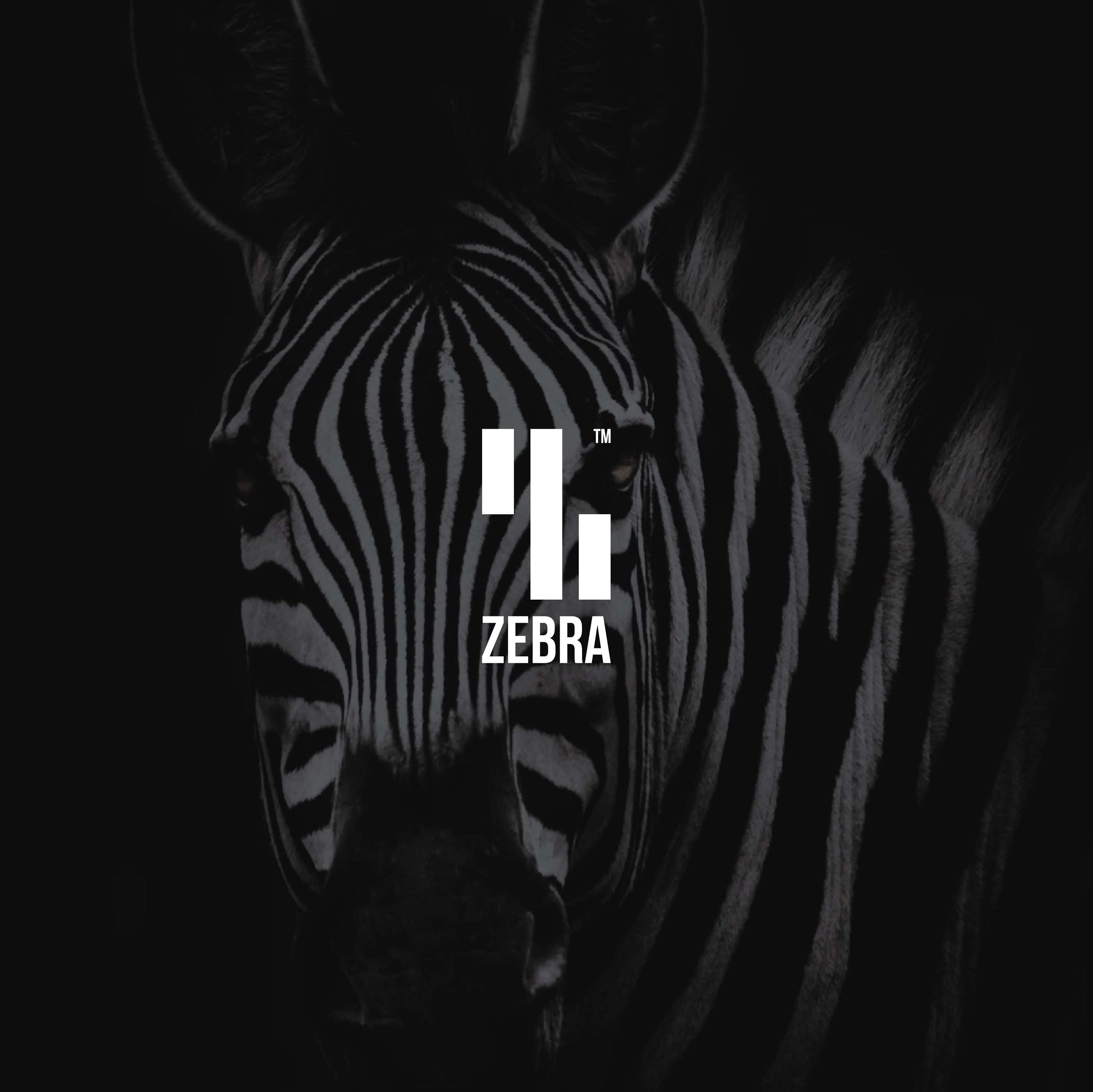 logo branding zebra Logotype Behance design creative professional.