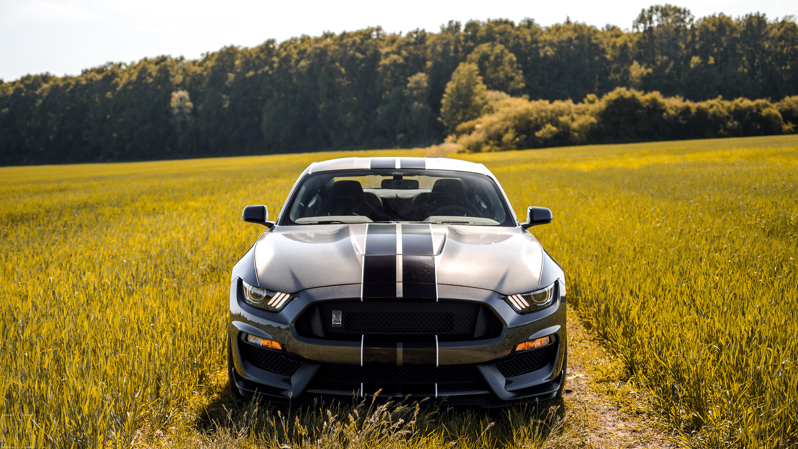 2017 Ford Mustang Shelby GT350. 