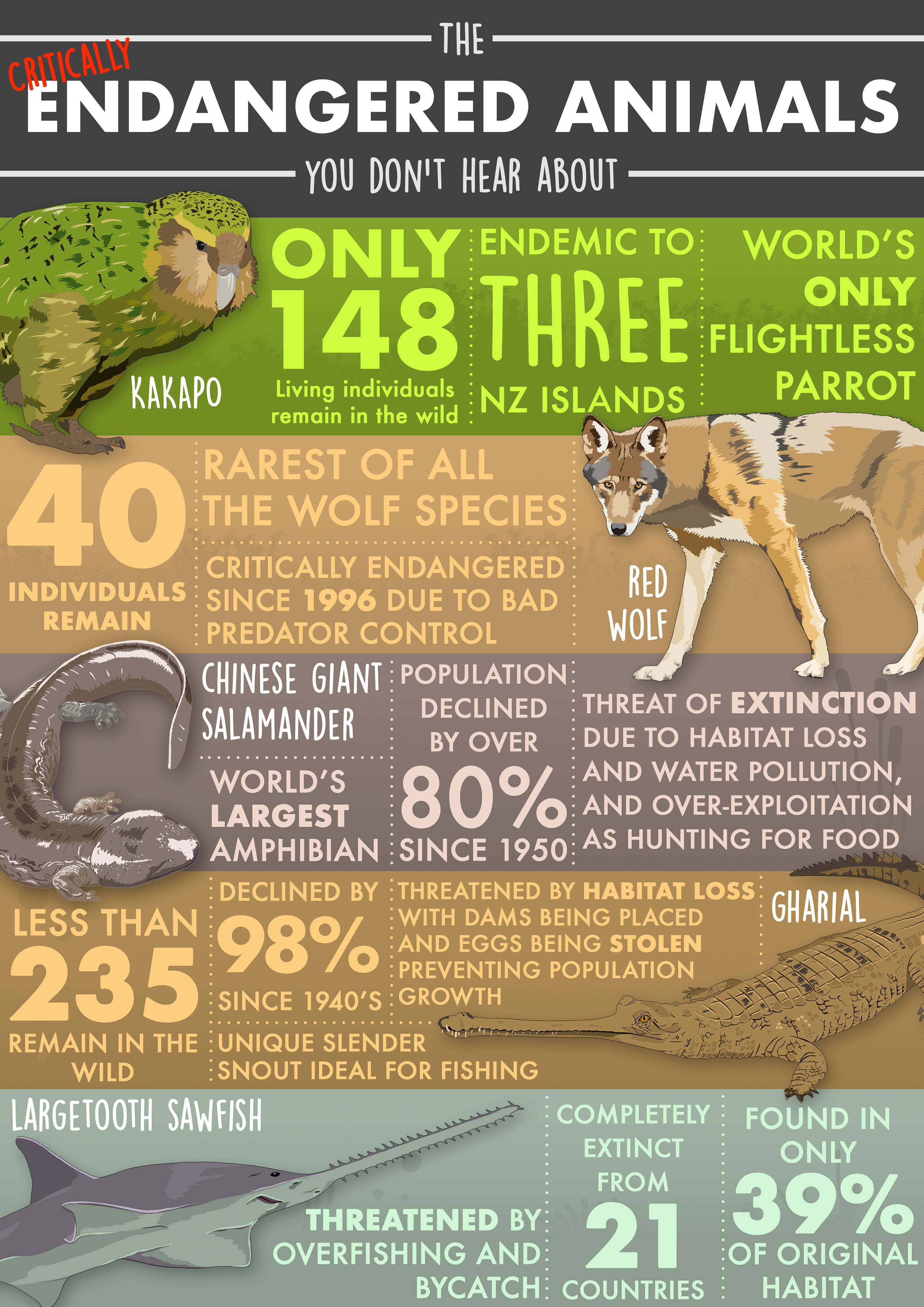 Endangered Wildlife Infographic on Behance
