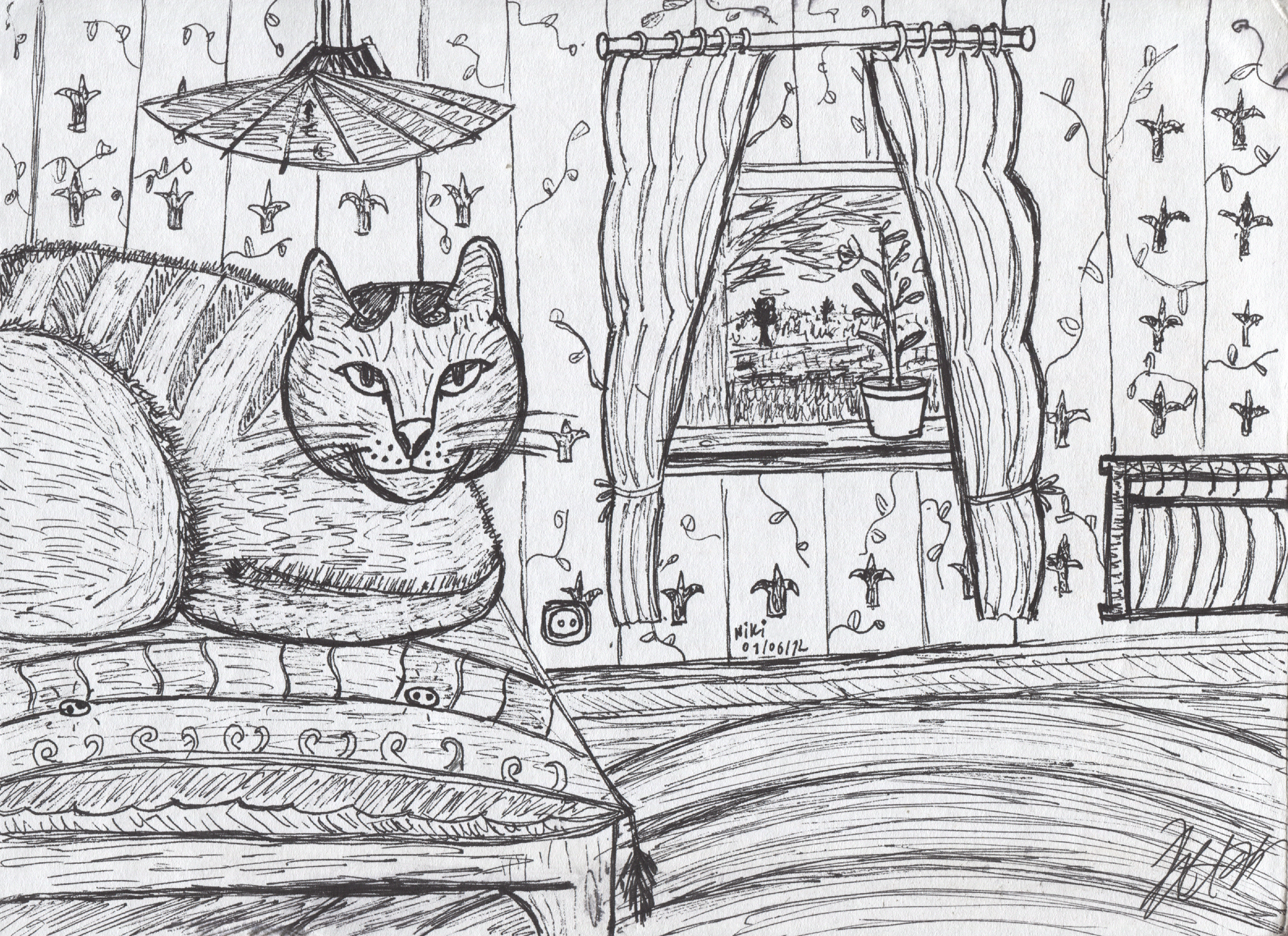 ink sketch traditional ILLUSTRATION Drawing house home Cat Felis Catus Inte...