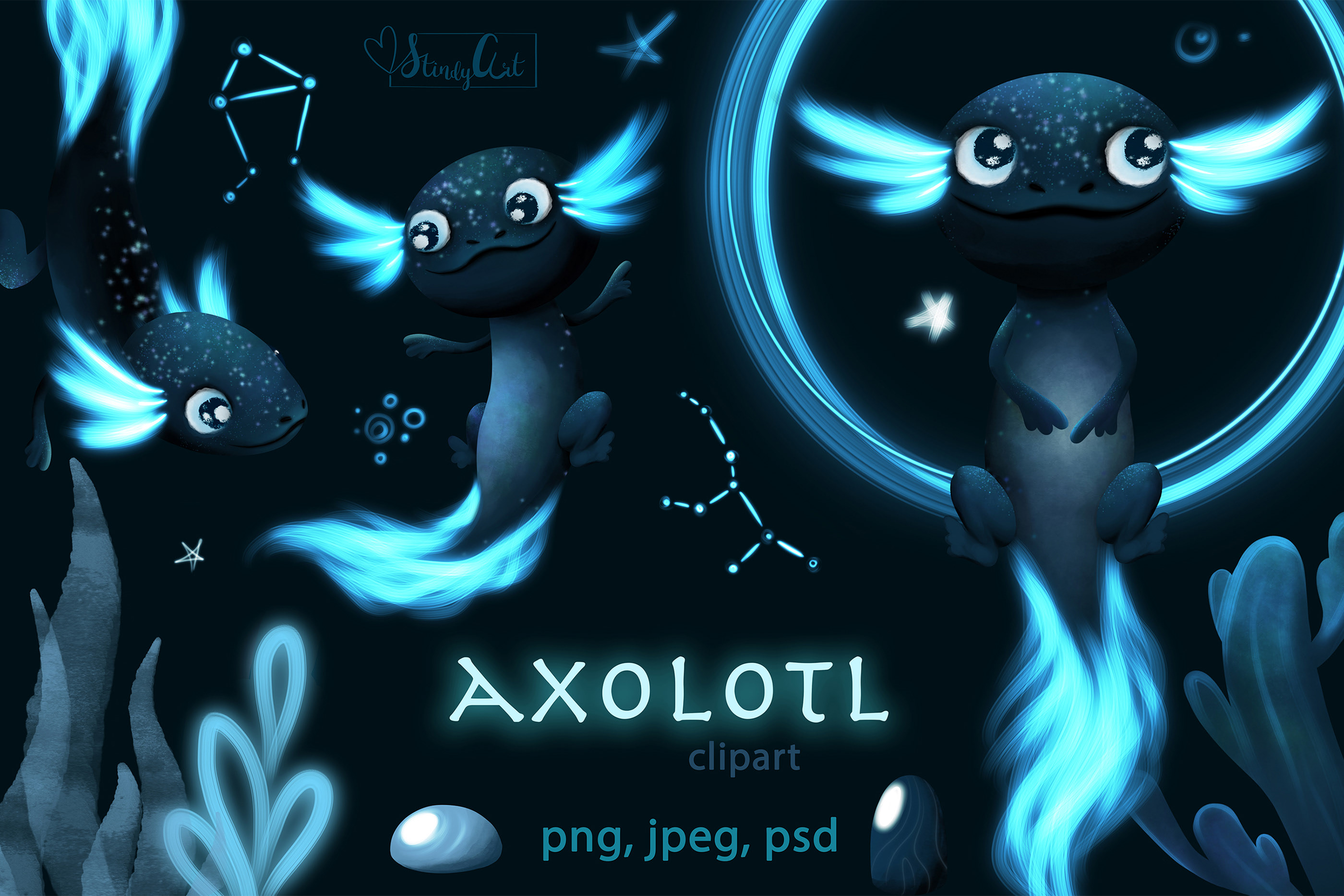 Axolotl black dota фото 4