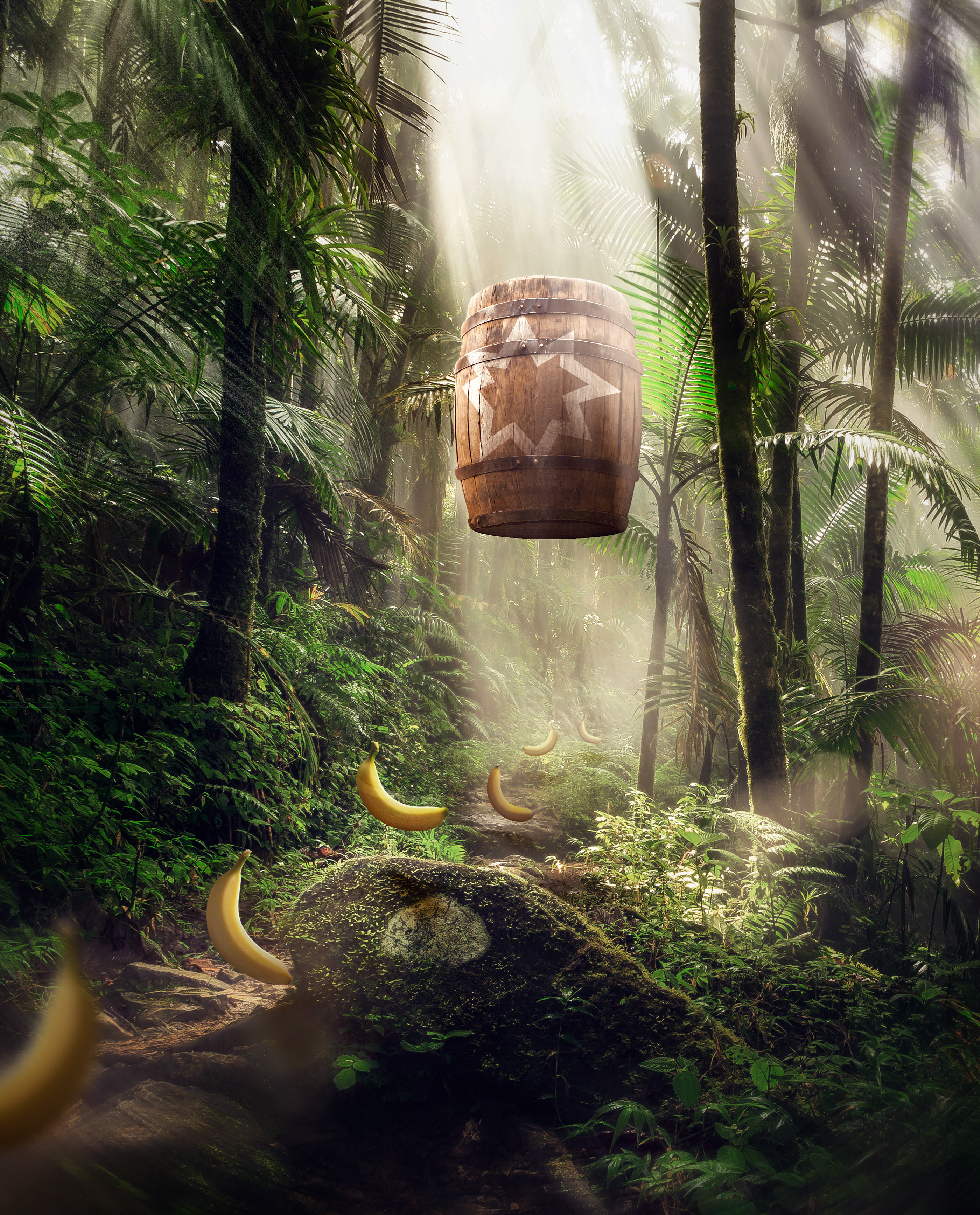 Donkey Kong Legacy on Behance