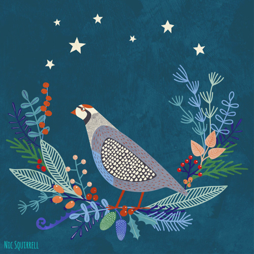 nicsquirrell squirrell winter holidays holidays Christmas greetings cards cards Adobe Portfolio