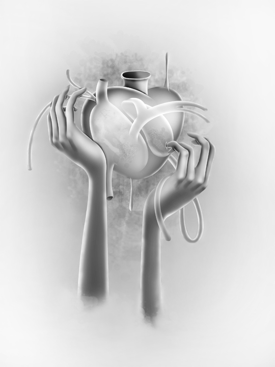 infarto corazon heart ilustración corazon heart attack Ilustración Colombia ilustración cali infarct infarct illustration experimental heart william ibanez