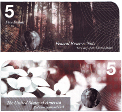 money design Polymer Bills banknote design national parks thesis