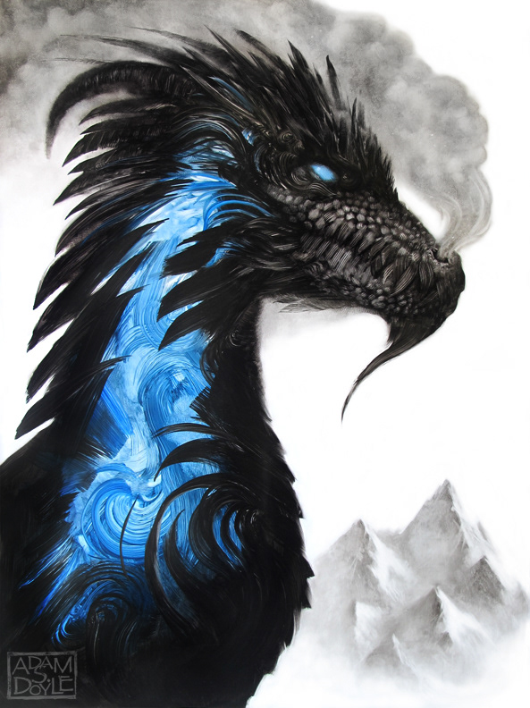 Adobe Portfolio dragon gallery portrait