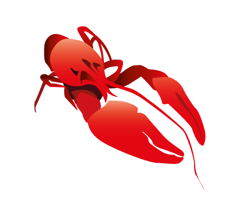 crayfish animals Food  swedish tradition
