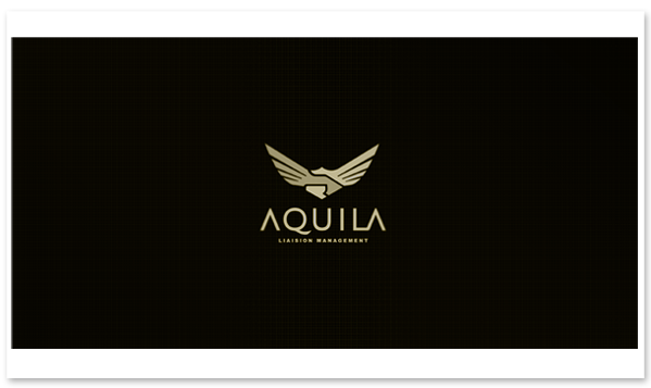 eagle logo brand brand identity Brasil Brazil design studio identidade de marca identidade visual identity Logotipo Logotype breno bitencourt Breno BItencourt visual identity bauru logodesign logodesigner featured aquila gif corporative identity logos