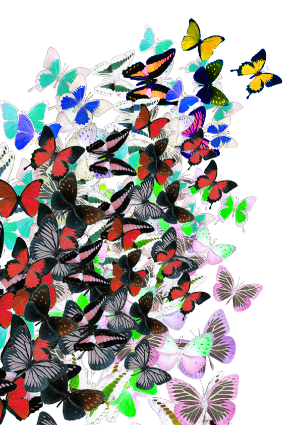 butterfly collage