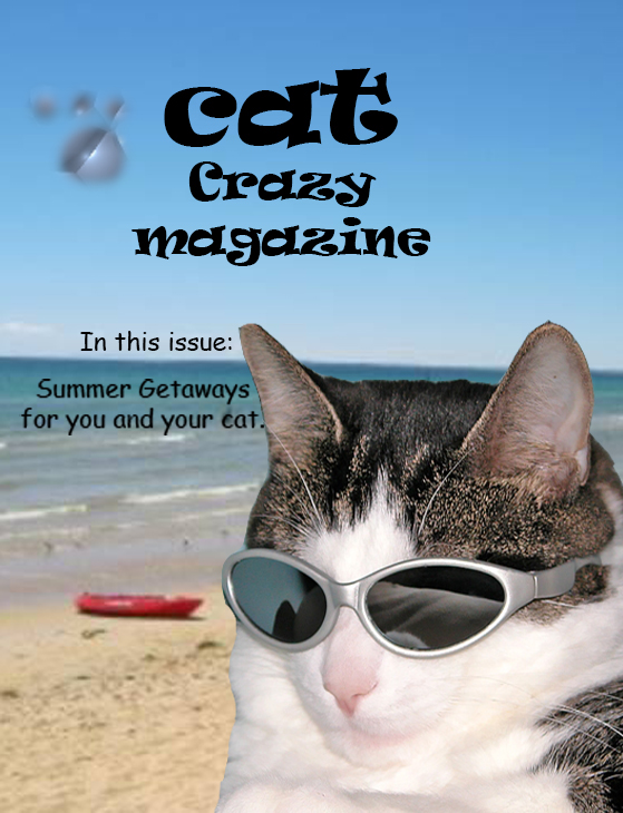 photos photoshop kittens cats computer graphics image Magazine Cover