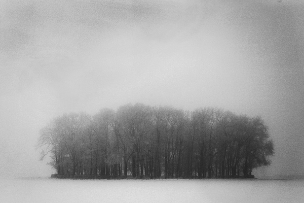 snow White Tree  Nature Landscape england UK minimal hamed masoumi Hamed Masoumi