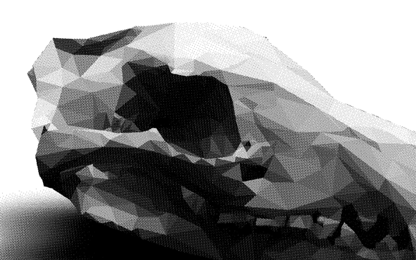 Polygons skull Overlay screen printing polygon mesh