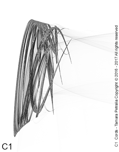 arte digitale illustrazione grafica digitale corde cordes cords frattali