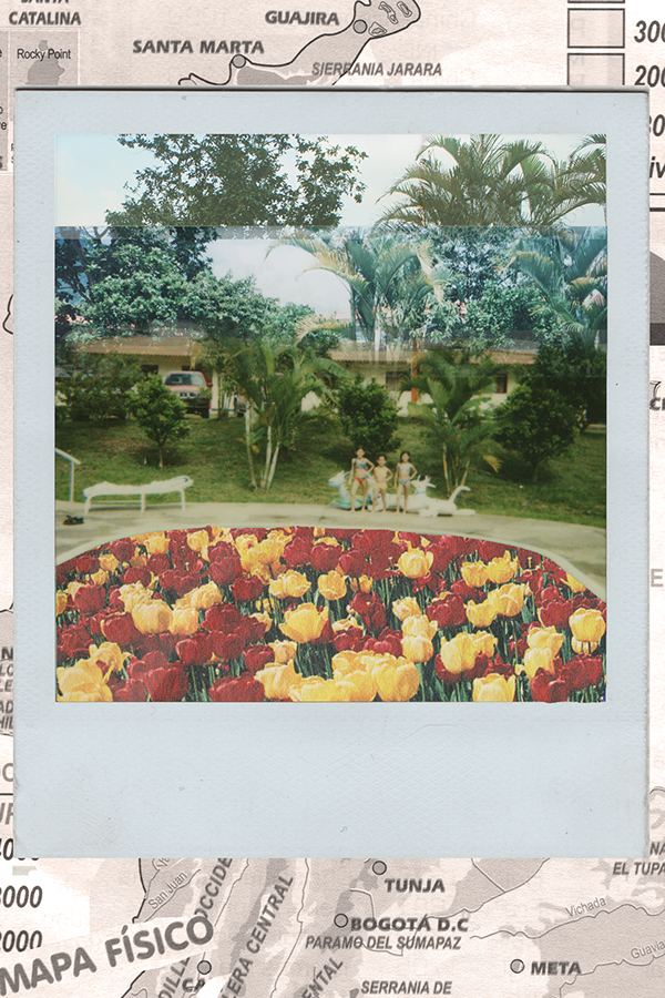 collage Flowers Pool palms animals family postcards postales recortes animales Fotos