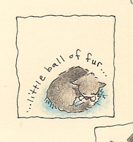 Tiny Cat kitty warm silly purr happy series small art Lyrics