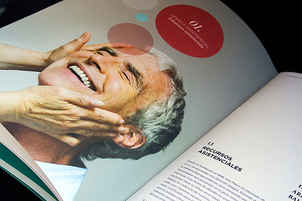 anual report identity brochure