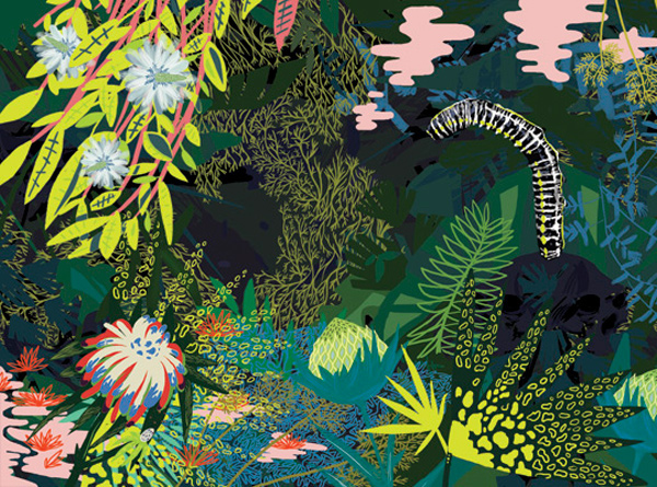 cd cover package Illustrator illustrate jungle Nature Music illustration CD cover album cover