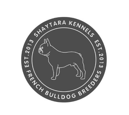 logo bulldog design