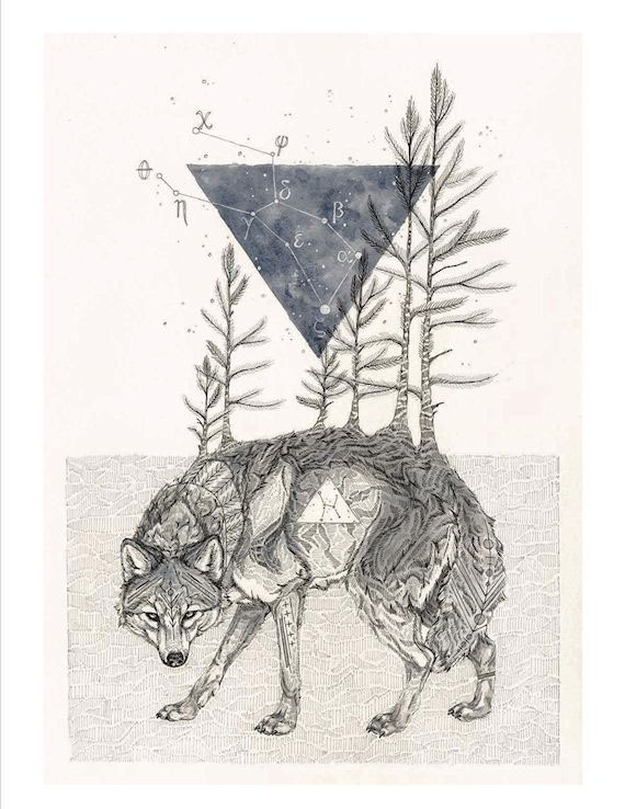 art stars Nature science Astrology zodiac bear wolf wildlife black and white Traditiona