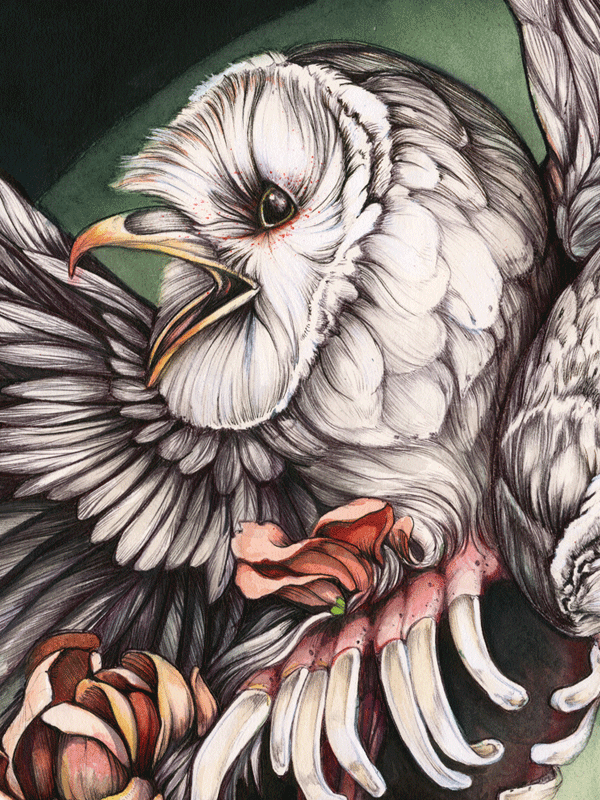 christina mrozik owls Modern Eden Gallery Feral Creatures Roses rose barn owl Flowers watercolor ballpoint ink Marker gallery Show