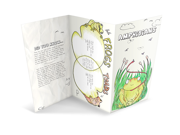 brochure amphibians frogs toads tadpoles childrens learning
