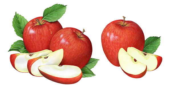 30 Years of Apple Packaging Illustrations