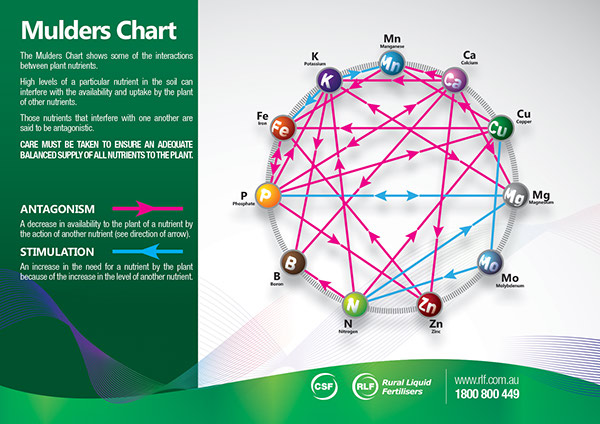 Mulder S Chart Of Nutrient Interaction