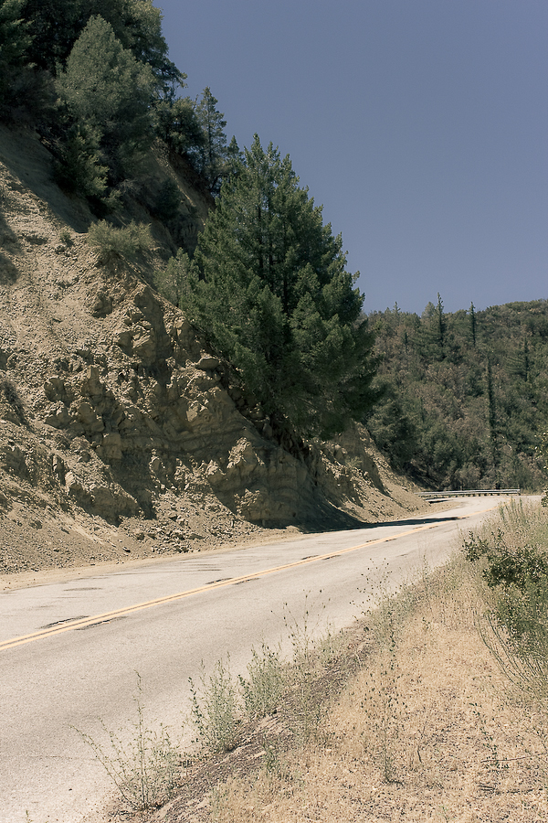 Travel California National Park road trip drive Landscape scenery