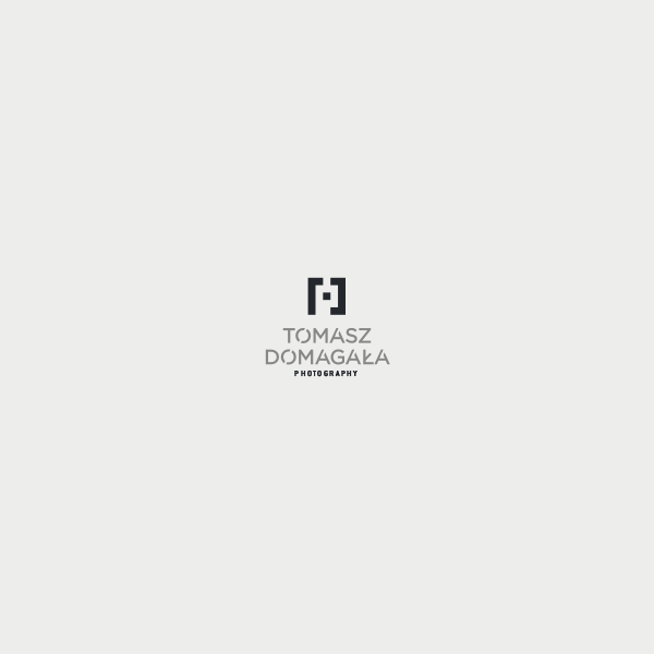 logo brand design new era image Pack Collection color Logotype type company bundle