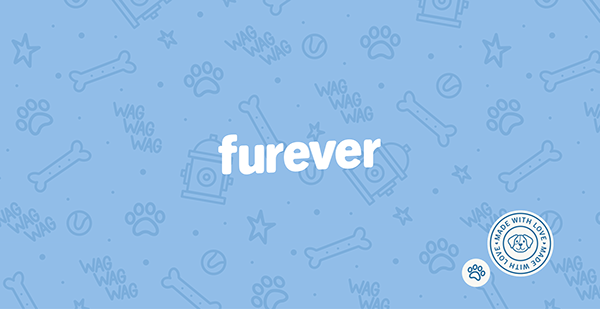 Furever - Dog Treats Branding and Packaging