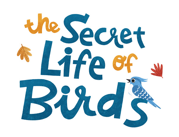 The Secret Life of Birds picture book