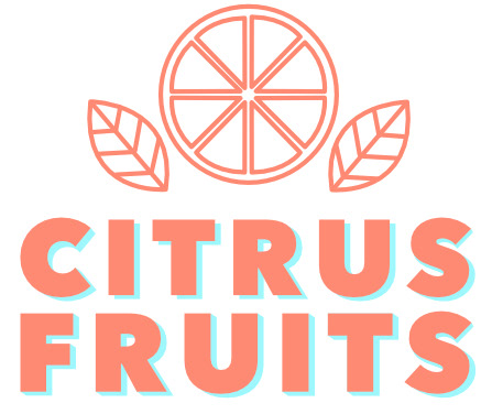 vegan branding  Fruit citrus Colourful  typography   orange coral mint leaves