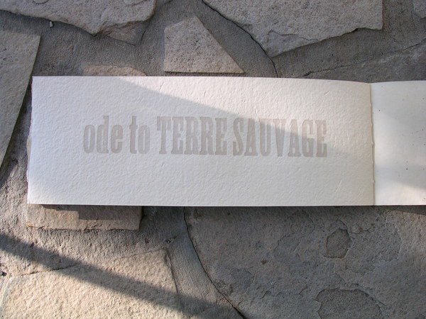 letterpress type lino wood engraving handmade