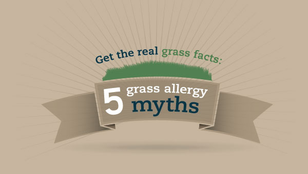 info-graphic graphic greer  allergy grass cool