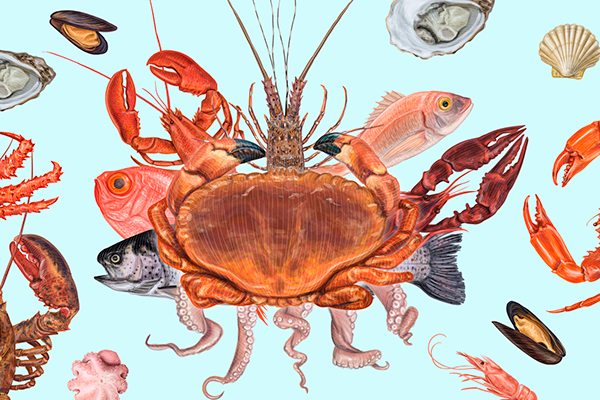 Seafood vector illustrations.