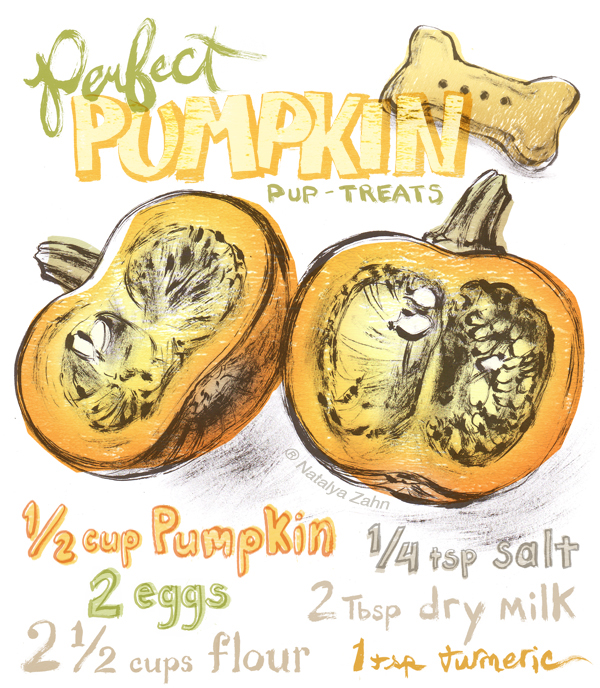 illustrated recipe  ink drawing  Digital illustration  hand-lettering food illustration Food  pumpkin dog treat recipe