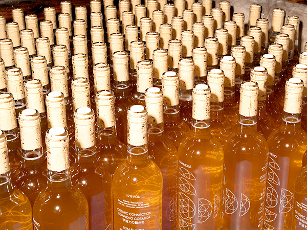 Bottling the spirit of dignity and collaboration
