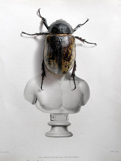 insect greek draw bookmark portrait art