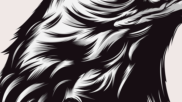 eagle ILLUSTRATION  vector bestvector eye details blackandwhite bird tattoo graphicart