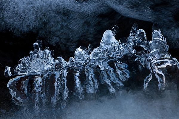 winter macro ice figures Tree  water