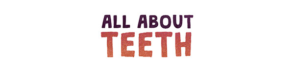 ALL ABOUT TEETH