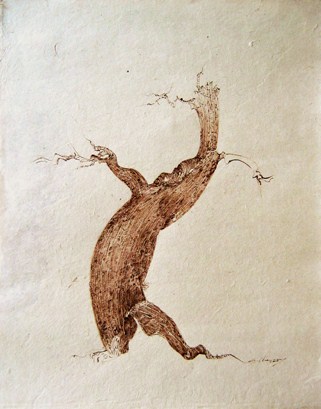 trees japanese paper ink pen drawings lucrece de natura arbres poesie poetry