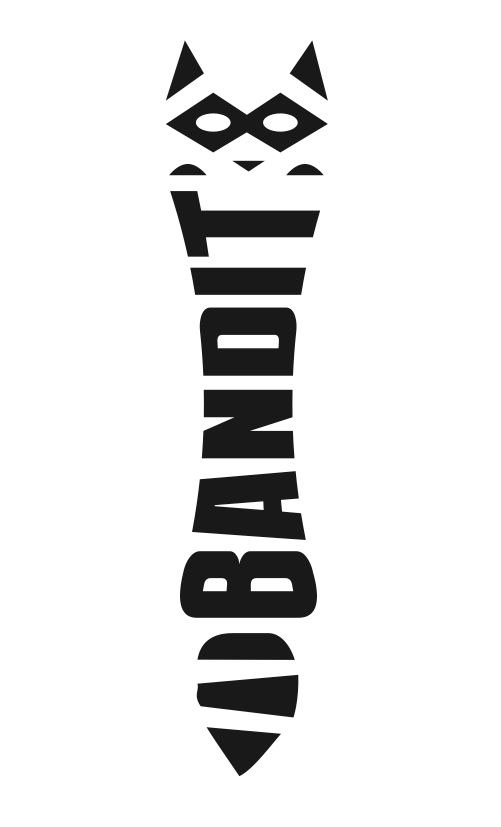 bandit Personal Identity identity racoon logo envelope business card cd stationary Resume folio folder suite