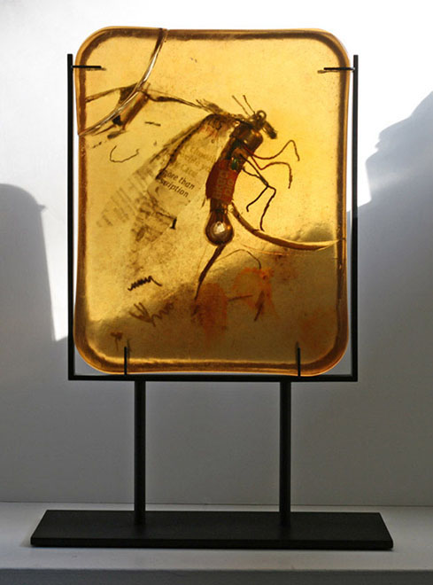 Amber  art  sculpture resin Lisaius seattle