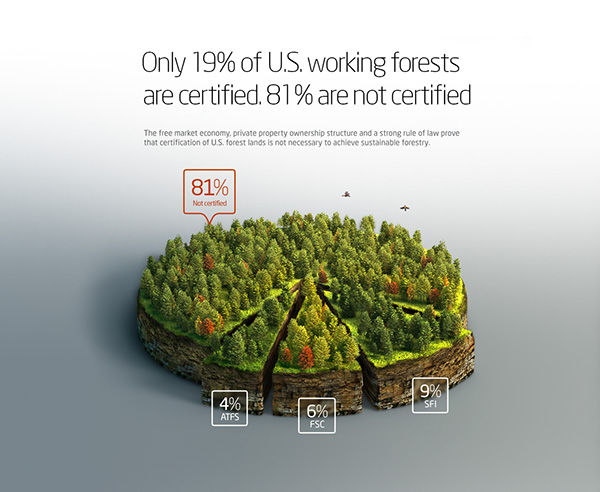 Forestry 3D infographics